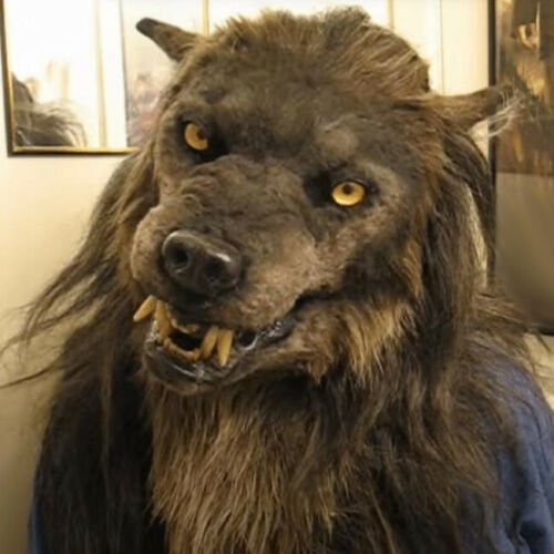 Halloween Costume Mask Werewolf Realistic Full Head With Fur And Yellow Eyes - Image 1