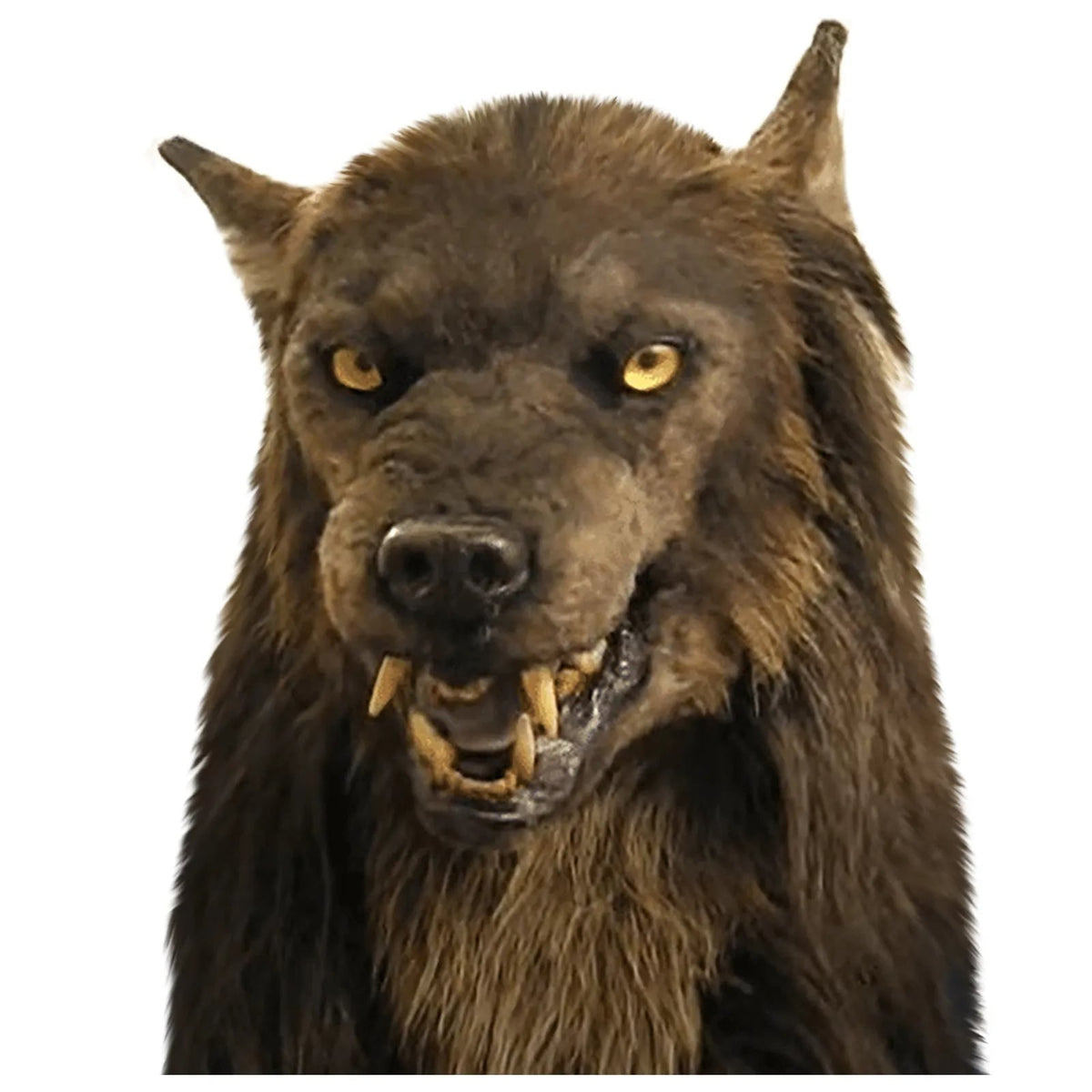 Halloween Costume Mask Werewolf Realistic Full Head With Fur And Yellow Eyes - Image 4