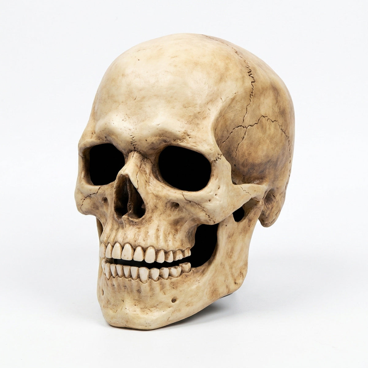 Halloween Skull Mask Realistic Full Head Skeleton With Movable Jaw And Soft Latex - Image 1
