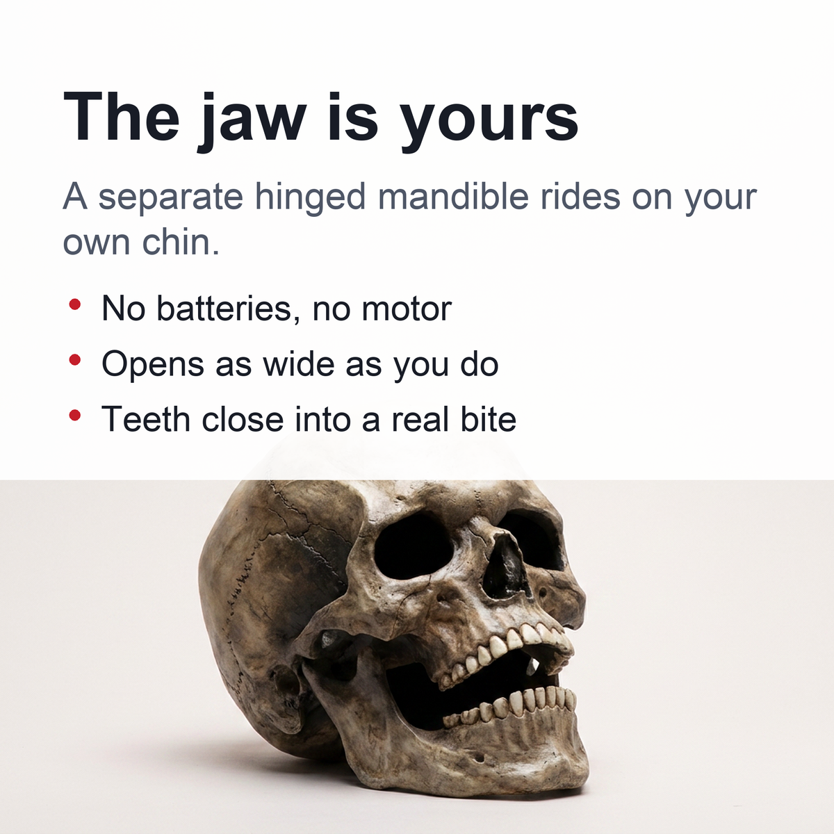 Halloween Skull Mask Realistic Full Head Skeleton With Movable Jaw And Soft Latex - Image 2