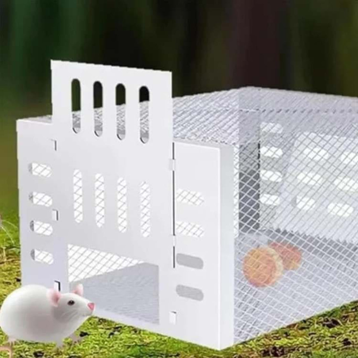 Humane Mouse Trap Live Catch Stainless Steel Reusable No Kill Rodent Cage - Image 4