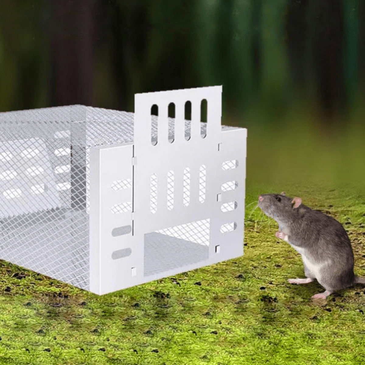 Humane Mouse Trap Live Reusable Catch Multi Cage Silver Mesh White Panels - Image 2