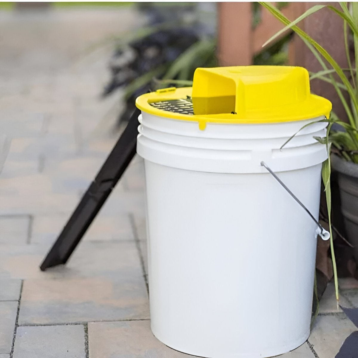Mouse Trap Bucket Rat Plastic Live Catch No Kill Reusable Indoor Outdoor - Image 1